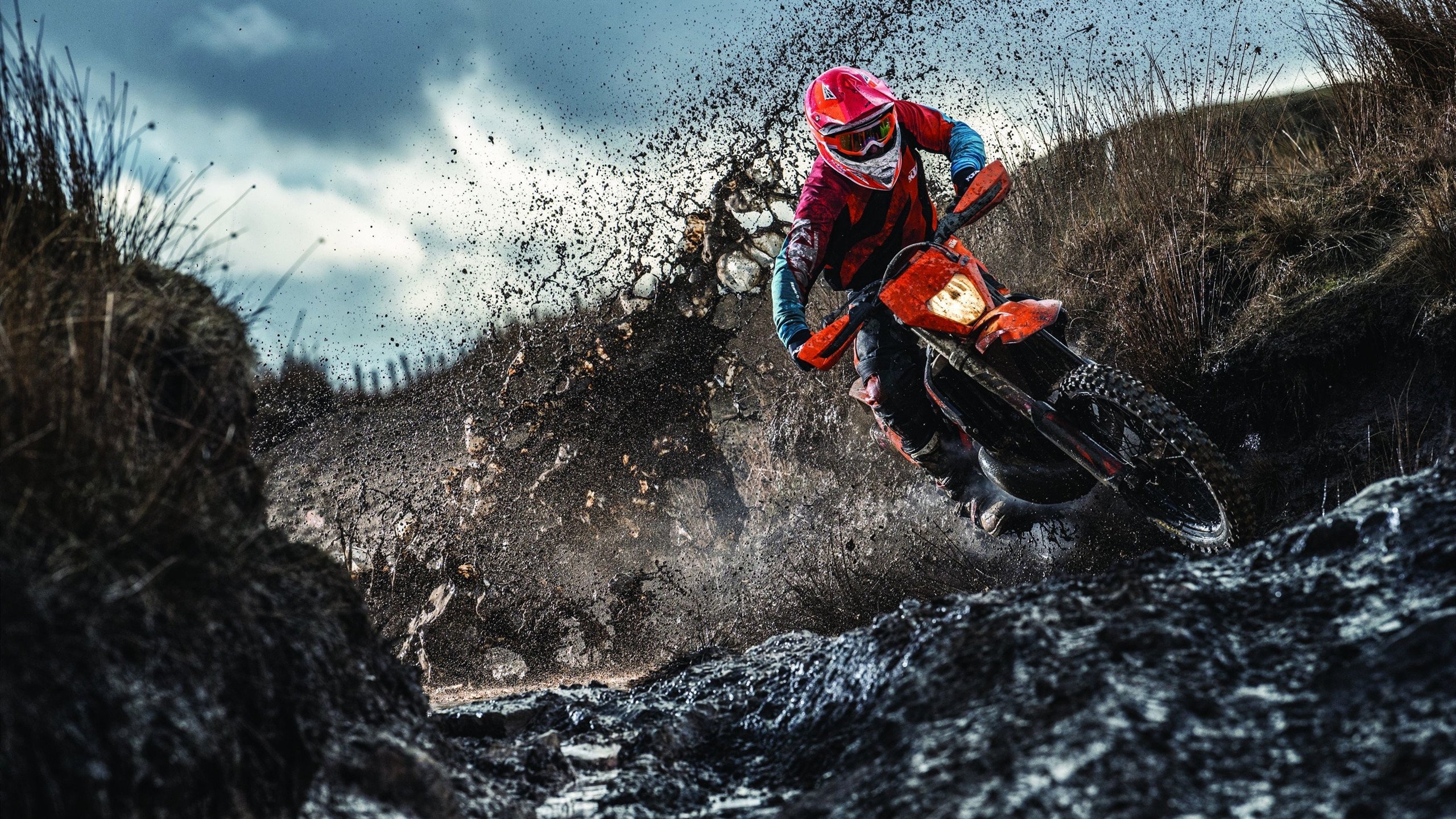 体育粉丝文化解析