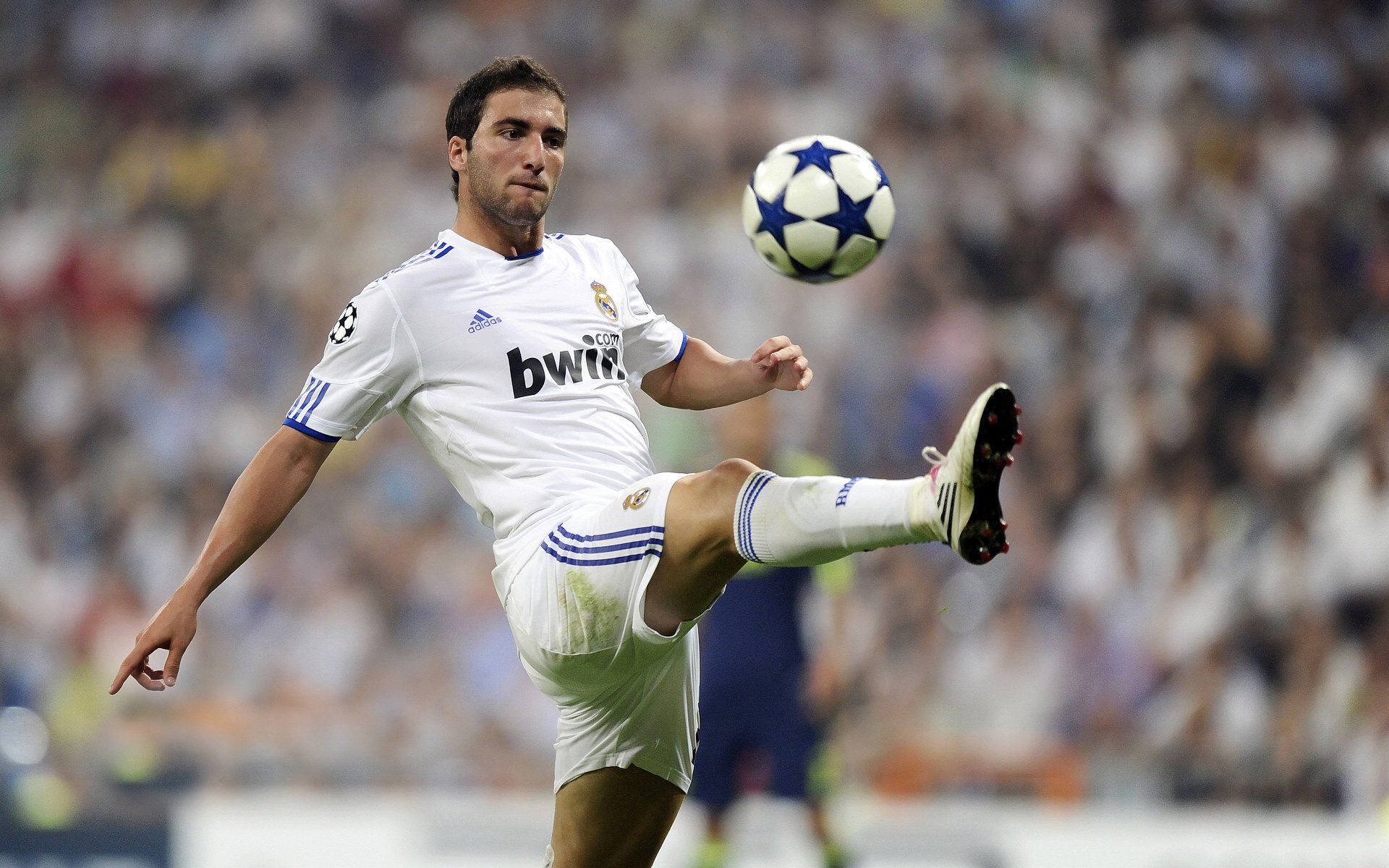 体育明星商业影响力分析