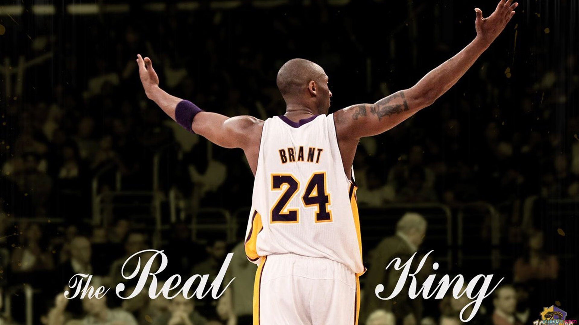 篮球联盟球队市值排名